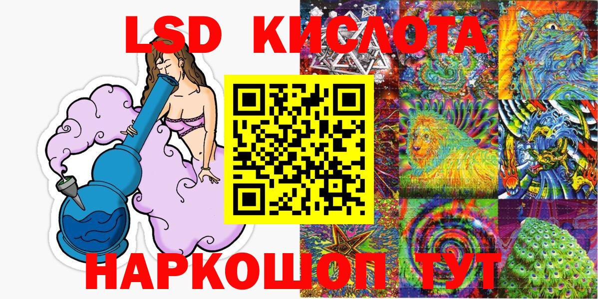 Галлюциногенные грибы Нововоронеж
