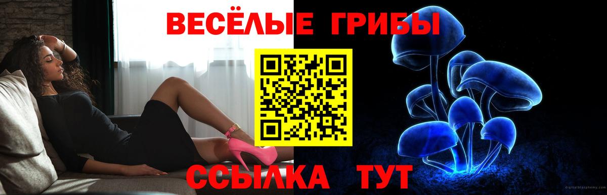Псилоцибиновые грибы MAGIC MUSHROOMS  Вход с VPN  Нововоронеж 